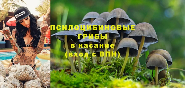 СК Абаза