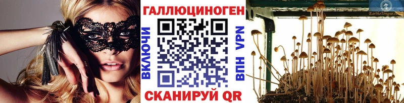 купить наркотики цена  Кашира  Галлюциногенные грибы мицелий 