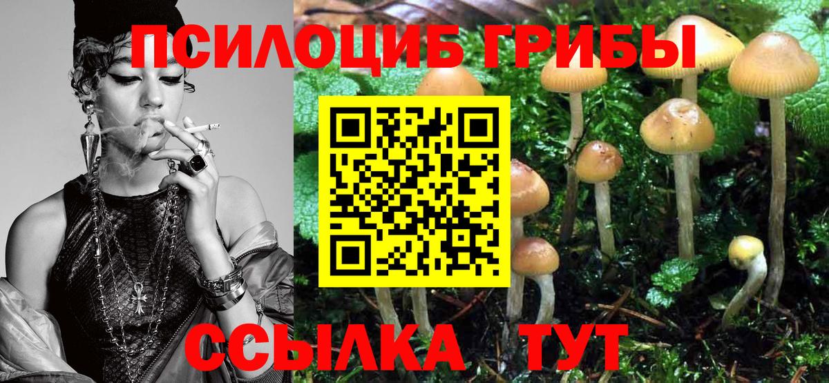 Кашира  Псилоцибиновые грибы Psilocybine cubensis  Вход с VPN 
