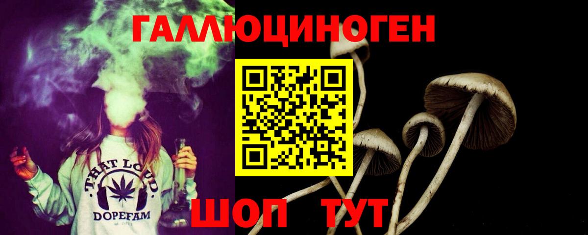 Галлюциногенные грибы мицелий Кашира